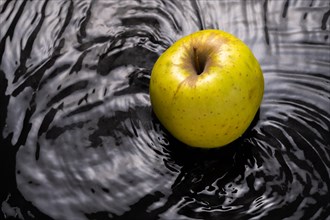 Yellow apple falling into the water with waves around it black background and copy space
