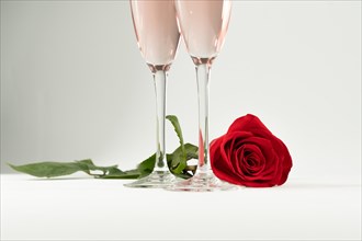 Two glasses of champagne and a rose on a white background and copy space valentine's day symbol