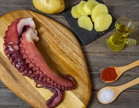 Galician octopus typical food from the north of Spain with sweet paprika salt and Andalusian olive oil exquisite tapa