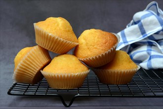 Several muffins on cake rack