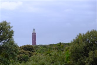 Dunes on the beach with a view of a lighthouse