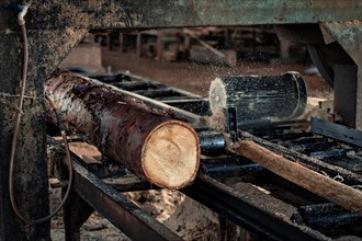 Detail shot of a machine cutting tree trunks in a sawmill