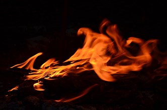 Burning wood logs in the night