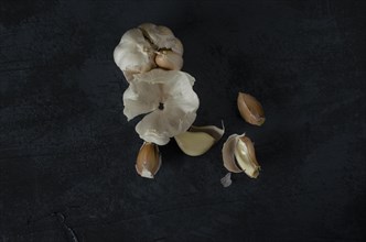 The garlic