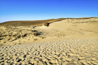 View of beautiful nordic dunes of Curonian spit