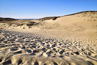View of nordic dunes of Curonian spit