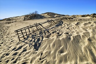 Beautiful view of nordic sand dunes and protective fences at Curonian spit