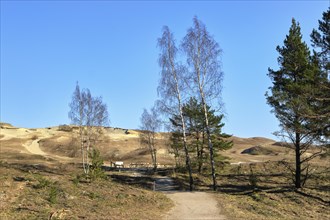 Early spring nature of nordic sand dunes
