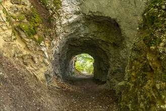 Tunnel in the rock on the hiking trail around the Lac des Moron reservoir between Switzerland and France