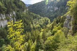 View into the gorge at the Echelles de la Mort death ladders in the Doubs valley