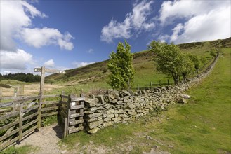 Dry stone wall and signpost
