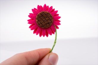 Fake flower in the hand of a child on white background