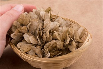 Dry leaves in a basket on a brown background