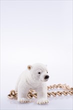 Polar bear cub and chain on a white background