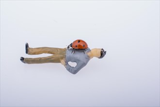 Ladybug walking on body of figurine man