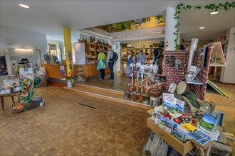Reception and museum shop