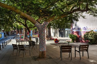 Chairs under tree in pedestrian zone