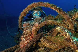 Diver looking closely at dripping tassled scorpionfish