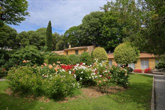Ornamental garden with roses at the Pavillon de Vendôme