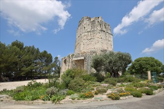 Ancient Roman monument and tower Tour Magne