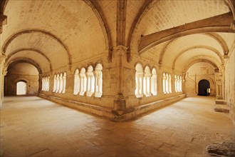 Cloister of the Romanesque Abbaye de Montmajour