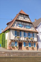 Historic half-timbered house with blue shutters