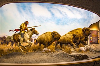 Diorama of a buffalo hunt