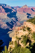 Grand Canyon vista