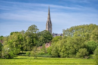 View over the parkland Queen Elizabeth Gardens to Salisbury Cathedral with the 123 m high and Britain's highest church tower