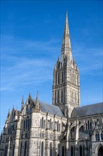 Salisbury Cathedral in Gothic architectural style seen from the north-east