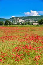The village of Banon in the Alpes-de-Haute-Provence département of the Provence-Alpes-Côte d'Azur region of southern France
