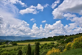 View of the mountains of the Luberon nature park Park