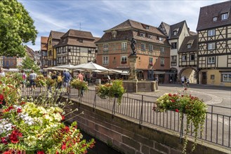 Old Town and Schwendi Fountain in Colmar