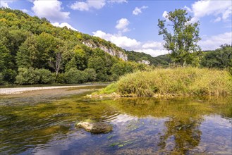 Confluence of the Loue and Lison at Lizine