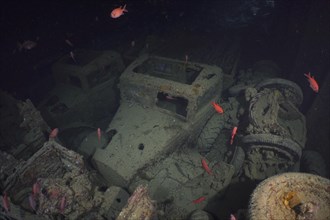 World War II truck Truck in the hold of the Thistlegorm
