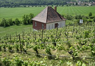 Etching house at the Max-Klinger vineyard