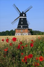 Traditional windmill in field at Krageholm