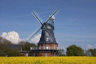 Windmill in Borgsum on the island of Föhr