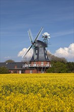 Windmill in Borgsum on the island of Föhr