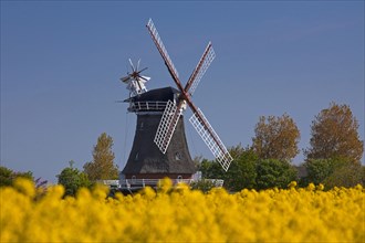 Windmill in Oldsum on the island of Föhr
