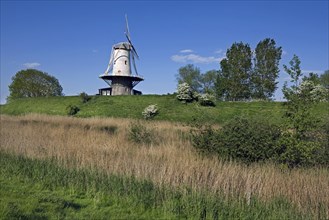 Windmill De Koe at Veere
