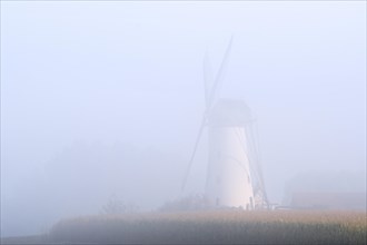 Van Vlaenderensmolen in early morning mist