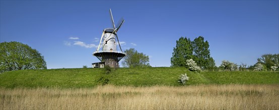 Windmill De Koe