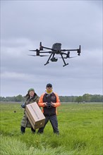 Rescue team operating professional drone to locate roe deer fawns hidden in grass with thermal imaging camera before mowing grassland in spring