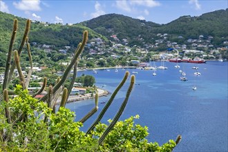 View over the bay and capital town Port Elizabeth on the island Bequia