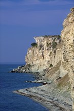 Limestone cliff Högklint