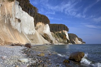 Chalk cliffs in Jasmund National Park on Rugen Island on the Baltic Sea