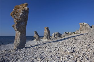 Limestone sea stacks