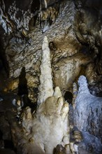 Stalagmites in limestone cave of the Caves of Han-sur-Lesse