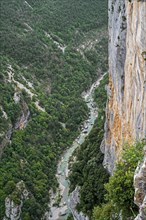 View into the Gorges du Verdon